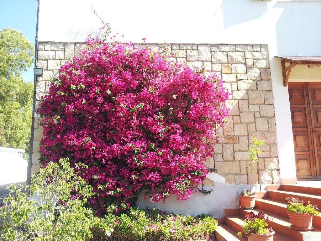 Bed and Breakfast Al Sole Di Pula Exterior foto